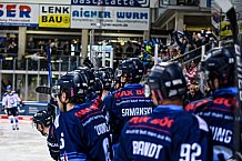 Eishockey, Herren, DEL, Saison 2021-2022, Playoff, Viertelfinale, Spiel 3, Straubing Tigers - Adler Mannheim, 14.04.2022