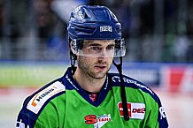 Eishockey, Herren, DEL, Saison 2022-2023, Hauptrunde, Straubing Tigers - Schwenninger Wild Wings, 55. Spieltag, 22.02.2023