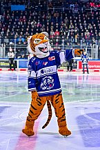 Eishockey, Herren, Penny DEL, 37. Spieltag, Saison 2023-2024, Straubing Tigers - Eisbären Berlin,12.01.2024