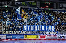 Eishockey, Herren, Penny DEL, Playoffs, Halbfinale, Spiel 2, Saison 2023-2024, Straubing Tigers - Eisbären Berlin, n03.04.2024
