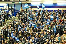 Eishockey, Herren, DEL, Saison 2022-2023, Hauptrunde, Straubing Tigers - Löwen Frankfurt, 7. Spieltag, 02.10.2022