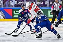 Eishockey, Men, CHL, Champions Hockey League, Regular Saison 2024-25, Game Day 4, Straubing Tigers - Dynamo Pardubice, 15.09.2024