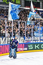 Eishockey, Men, CHL, Champions Hockey League, Regular Saison 2024-25, Game Day 4, Straubing Tigers - Dynamo Pardubice, 15.09.2024