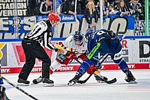 Eishockey, Men, DEL, Penny DEL, Hauptrunde Saison 2024-25, 1. Spieltag, Straubing Tigers - Düsseldorfer EG, 20.09.2024