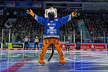 Eishockey, Herren, Penny DEL, Playoffs, Viertelfinale, Spiel 5, Saison 2023-2024, Straubing Tigers - Schwenninger Wild Wings,26.03.2024