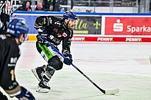 Eishockey, Herren, Penny DEL, 24. Spieltag, Saison 2023-2024, Straubing Tigers - Grizzlys Wolfsburg,03.12.2023