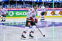 Eishockey, Herren, CHL, Champions Hockey League, Saison 2022-2023, Achtelfinale, Straubing Tigers - Frölunda HC Göteborg, Rückspiel, 22.11.2022