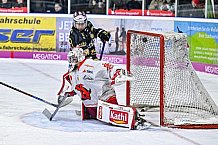 Herren, Eishockey, Oberliga-Süd, Saison 2022-2023, DEB, Deggendorfer SC - EV Herne Miners, Playoff, Viertelfinale, Spiel 4, 04.04.2023