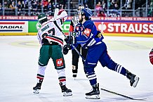 Eishockey, Herren, CHL, Champions Hockey League, Saison 2022-2023, Achtelfinale, Straubing Tigers - Frölunda HC Göteborg, Rückspiel, 22.11.2022