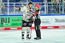 Eishockey, Herren, Penny DEL, 11. Spieltag, Saison 2023-2024, Straubing Tigers - Koelner Haie,15.10.2023
