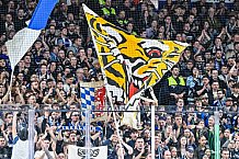 Eishockey, Herren, Penny DEL, Playoffs, Viertelfinale, Spiel 7, Saison 2023-2024, Straubing Tigers - Schwenninger Wild Wings,30.03.2024