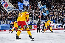 Eishockey, Herren, Penny DEL, 20. Spieltag, Saison 2023-2024, Straubing Tigers - Duesseldorfer EG,19.11.2023