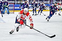 Eishockey, Men, CHL, Champions Hockey League, Regular Saison 2024-25, Game Day 4, Straubing Tigers - Dynamo Pardubice, 15.09.2024