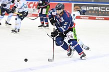 Straubing Tigers - ERC Ingolstadt