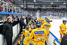 Eishockey, Herren, Penny DEL, 20. Spieltag, Saison 2023-2024, Straubing Tigers - Duesseldorfer EG,19.11.2023