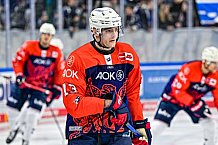 Eishockey, Herren, Penny DEL, 32. Spieltag, Saison 2023-2024, Straubing Tigers - Adler Mannheim,28.12.2023