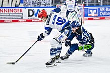 Eishockey, Herren, Penny DEL, Playoffs, Viertelfinale, Spiel 3, Saison 2023-2024, Straubing Tigers - Schwenninger Wild Wings,22.03.2024