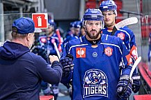 Eishockey, CHL, Champions Hockey League, 1. Spieltag, Saison 2022-2023, Gruppe F, Comarch Cracovia - Straubing Tigers, 01.09.2022