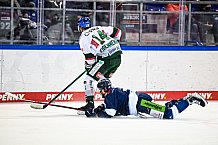 Eishockey, Herren, DEL, Saison 2021-2022, 25. Spieltag, Straubing Tigers - Augsburger Panther,  20.02.2022
