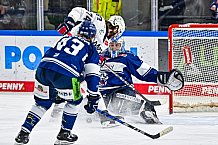 Eishockey, Herren, Penny DEL, 44. Spieltag, Saison 2023-2024, Straubing Tigers - Adler Mannheim,04.02.2024