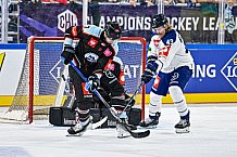 Eishockey, Men, CHL, Champions Hockey League, Regular Saison 2024-25, Game Day 1, Straubing Tigers - SonderjyskE Vojens, 06.09.2024