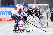 Eishockey, Herren, DEL, Saison 20202021, Straubing Tigers - Adler Mannheim, 22.01.2021