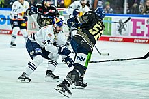 Eishockey, Herren, Penny DEL, 17. Spieltag, Saison 2023-2024, Straubing Tigers - EHC Red Bull Muenchen,03.11.2023
