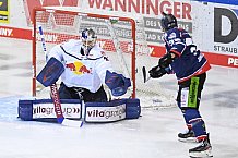 Eishockey, Herren, DEL, Saison 2020-2021, Straubing Tigers - EHC Red Bull München, 22.02.2021