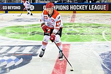 Eishockey, CHL, Champions Hockey League, 3. Spieltag, Saison 2022-2023, Gruppe F, Straubing Tigers - Comrach Cracovia, 09.09.2022