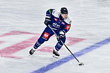 Eishockey, Men, CHL, Champions Hockey League, Regular Saison 2024-25, Game Day 2, Straubing Tigers - Skelleftea AIK, 08.09.2024
