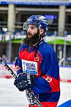 Eishockey, Herren, Penny DEL, 20. Spieltag, Saison 2023-2024, Straubing Tigers - Duesseldorfer EG,19.11.2023