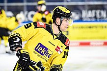 Eishockey, Herren, DEL, Saison 2020-2021, Straubing Tigers - Krefeld Pinguine, 07.04.2021