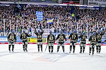Eishockey, Herren, Penny DEL, 47. Spieltag, Saison 2023-2024, Straubing Tigers - Koelner Haie,18.02.2024