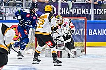 Eishockey, Men, CHL, Champions Hockey League, Regular Saison 2024-25, Game Day 2, Straubing Tigers - Skelleftea AIK, 08.09.2024