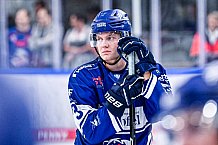 Eishockey, Herren, DEL, Penny DEL, Vorbereitung, Gäubodencup 2023, Saison 2023-2024, Straubing Tigers - Nürnberg Ice Tigers,18.08.2023
