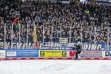 Eishockey, Herren, Penny DEL, 49. Spieltag, Saison 2023-2024, Straubing Tigers - Frankfurter Löwen,25.02.2024
