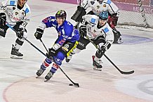 Herren, Eishockey, Oberliga-Sued, Saison 2023-2024, DEB, Deggendorfer SC - Bayreuth Tigers, 1. Spieltag, 28.09.2023