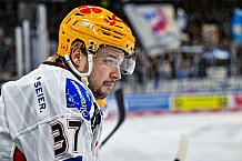 Eishockey, Herren, Penny DEL, 22. Spieltag, Saison 2023-2024, Straubing Tigers - Fischtown Pinguins Bremerhaven,26.11.2023