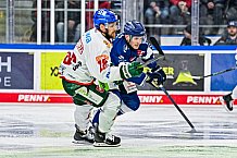 Eishockey, Herren, Penny DEL, 40. Spieltag, Saison 2023-2024, Straubing Tigers - Augsburger Panther,21.01.2024