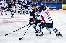Eishockey, Herren, DEL, Saison 2021-2022, Straubing Tigers - Adler Mannheim, 10.09.2021