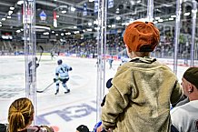 Eishockey, Herren, DEL, Penny DEL, Saison 2023-2024, Straubing Tigers, öffentliches Eistraining,06.08.2023