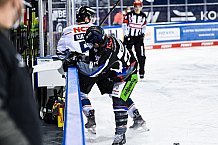 Eishockey, Herren, DEL, Saison 2020-2021, Straubing Tigers - Nürnberg Ice Tigers, 11.03.2021