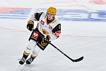 Eishockey, Men, CHL, Champions Hockey League, Regular Saison 2024-25, Game Day 2, Straubing Tigers - Skelleftea AIK, 08.09.2024
