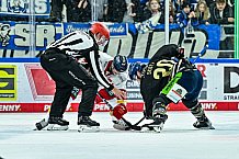 Eishockey, Herren, Penny DEL, 12. Spieltag, Saison 2023-2024, Straubing Tigers - Duesseldorfer EG,20.10.2023