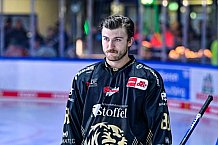 Eishockey, Herren, Penny DEL, 20. Spieltag, Saison 2023-2024, Straubing Tigers - Duesseldorfer EG,19.11.2023