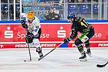 Eishockey, Herren, Penny DEL, 22. Spieltag, Saison 2023-2024, Straubing Tigers - Fischtown Pinguins Bremerhaven,26.11.2023
