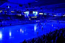 Eishockey, Herren, Penny DEL, DEL, Saison 2022-2023, Playoffs, Viertelfinale, Spiel 7, Straubing Tigers - Grizzlys Wolfsburg, 29.03.2023