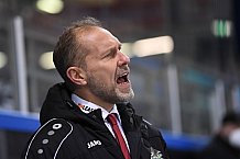 Straubing Tigers - Augsburger Panther