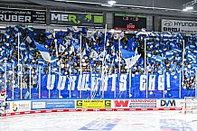 Eishockey, Herren, Penny DEL, Playoffs, Viertelfinale, Spiel 3, Saison 2023-2024, Straubing Tigers - Schwenninger Wild Wings,22.03.2024
