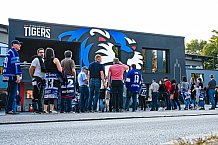 Eishockey, Herren, DEL, Saison 2021-2022, Straubing Tigers - Adler Mannheim, 10.09.2021